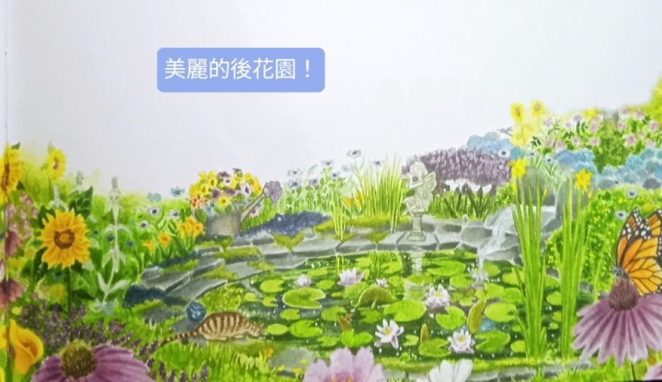 雨後
                  花園！...