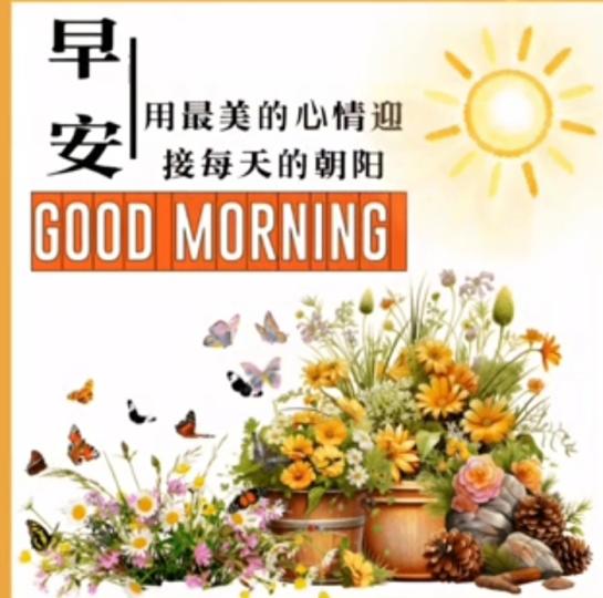 陽光明媚
             心情美！...