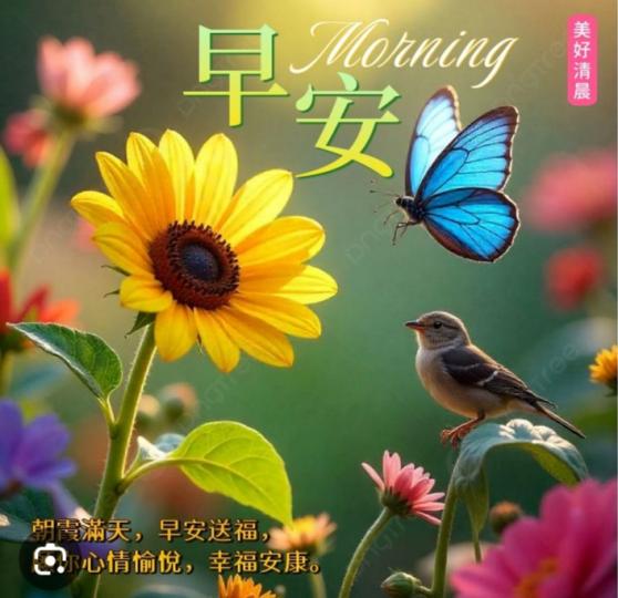 幸福
                安康！...