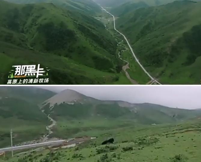 那黑卡
          高原上的清新牧場...