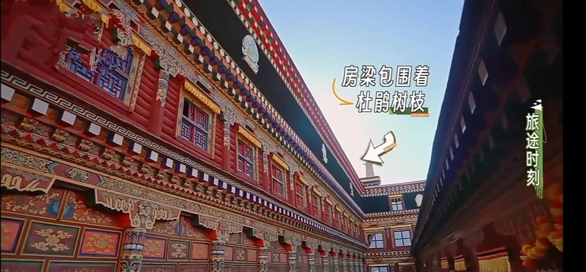 冬暖
               夏涼的建築！...