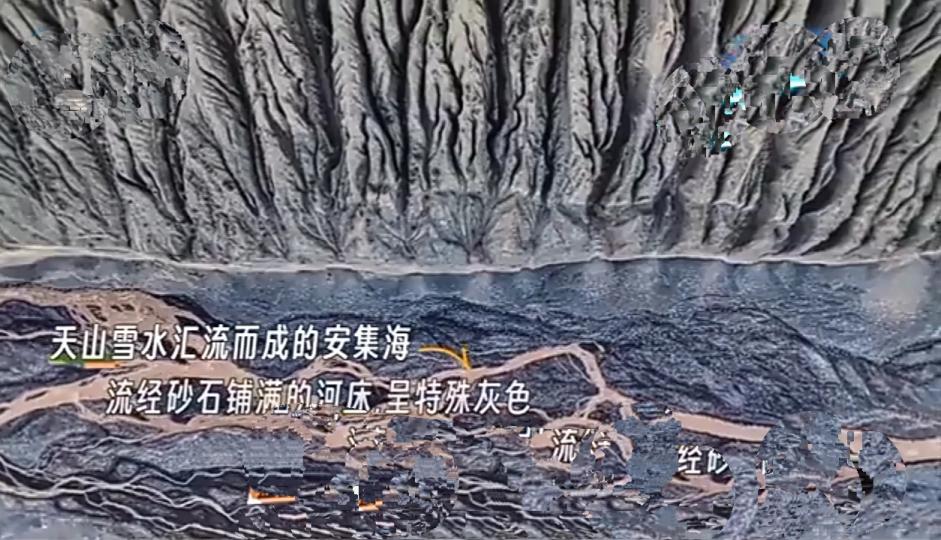 安集海
                    呈灰色！...