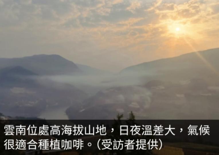 有雲南咖啡莊園負責人稱受貿易戰影響　近期採購訂單增...