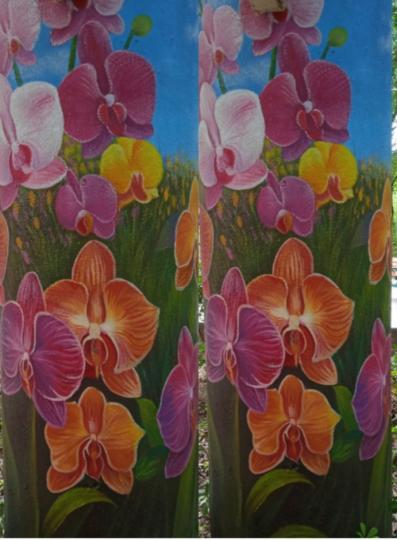 花在
                     畫中！...