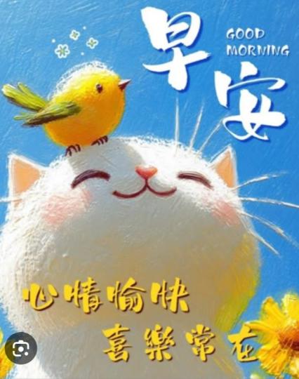 心情
              愉快...