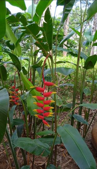 幸福
                安康！...