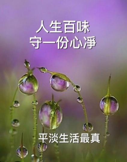 平淡
                 清心！...