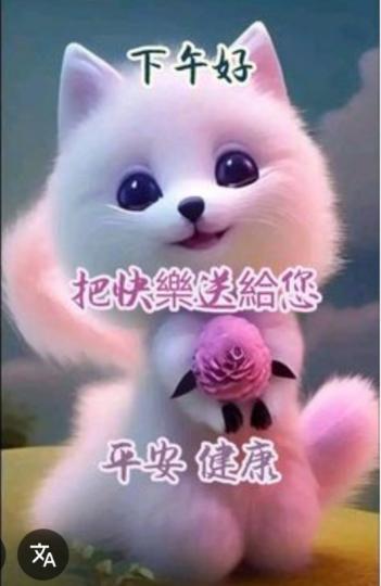 午安
                      愉快！...