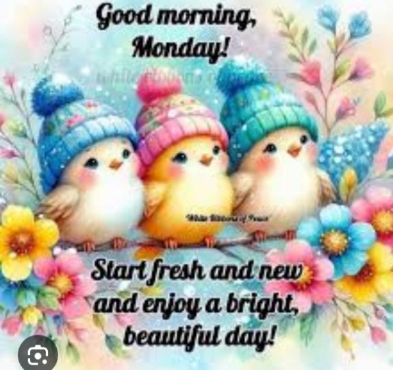 迎接
                   周一！...