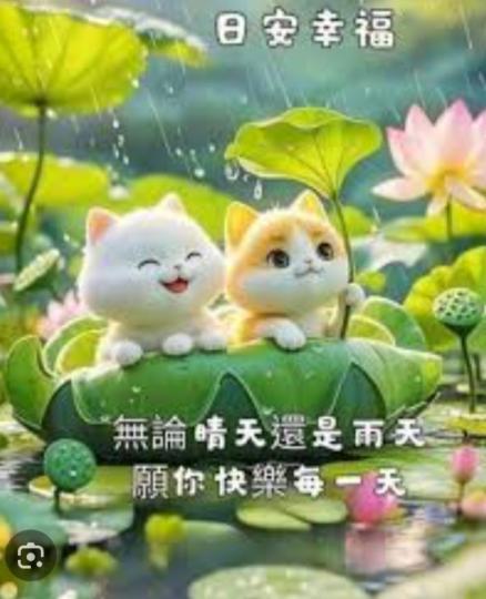 無論晴天雨天
過好每一天！...