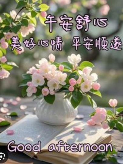 期待
雨後
         陽光！...