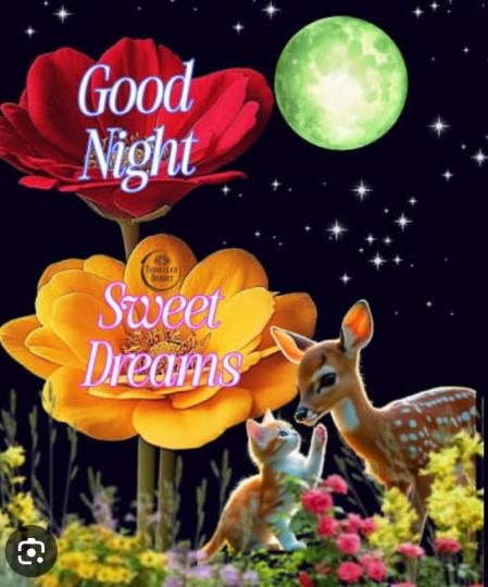 晚安
                      美好！...