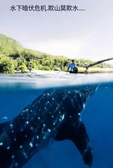 水下暗伏危机欺山莫欺水......