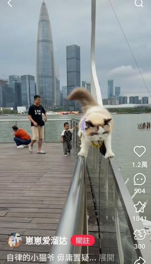 自律的小貓爺母庸置疑...