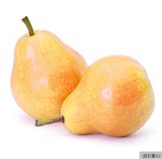 食雪梨百合防燥