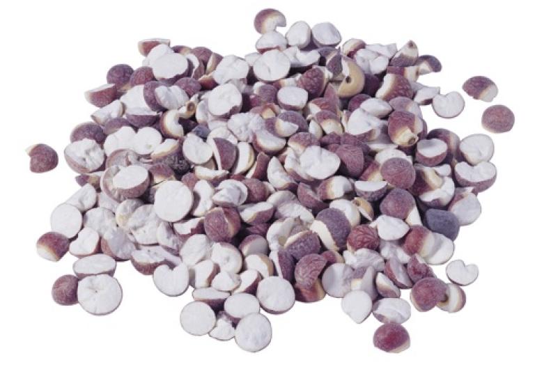 鑽地風鴿肉湯　通絡止痛