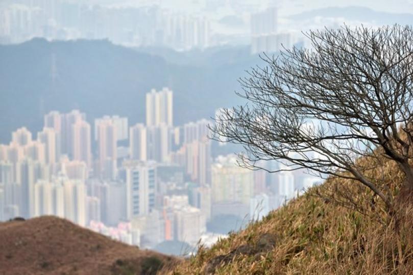 空氣污染或達嚴重水平