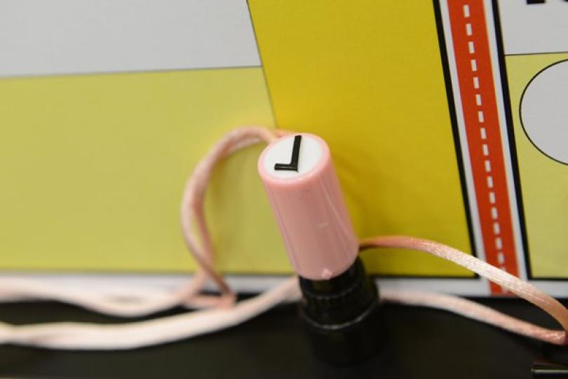 臨時選民登記冊供查閱