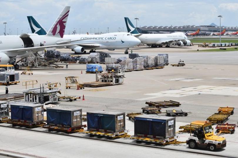 空運先驅: 香港國際機場今年3月取得國際航空運輸協會鮮活貨物運輸認證，成為全球首個獲得這項資格的機場。