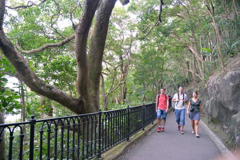 全新版面郊野樂行網站推出