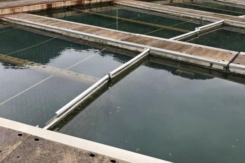 消毒程序嚴格 確保食水安全