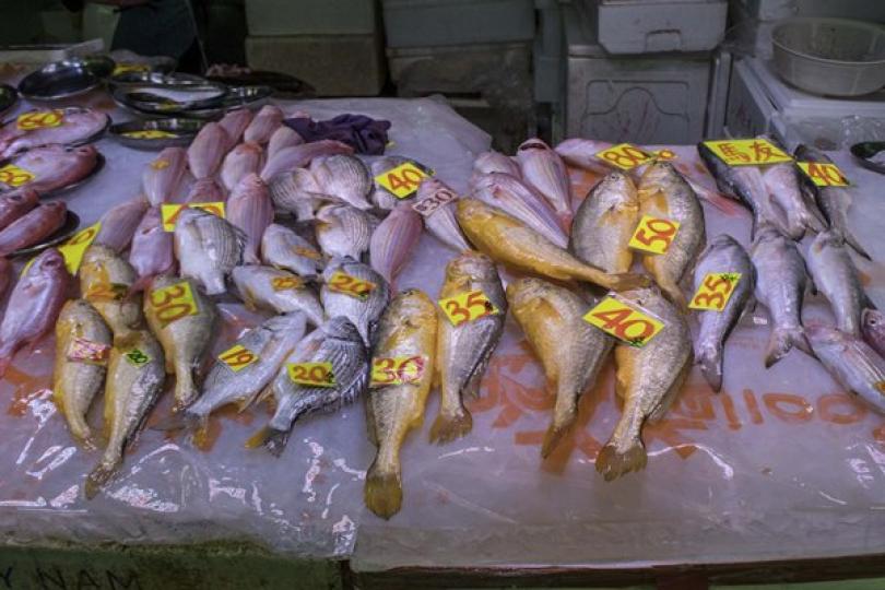 抗疫基金活海魚商資助陸續發放