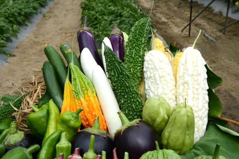 漁農生產者資助接受登記