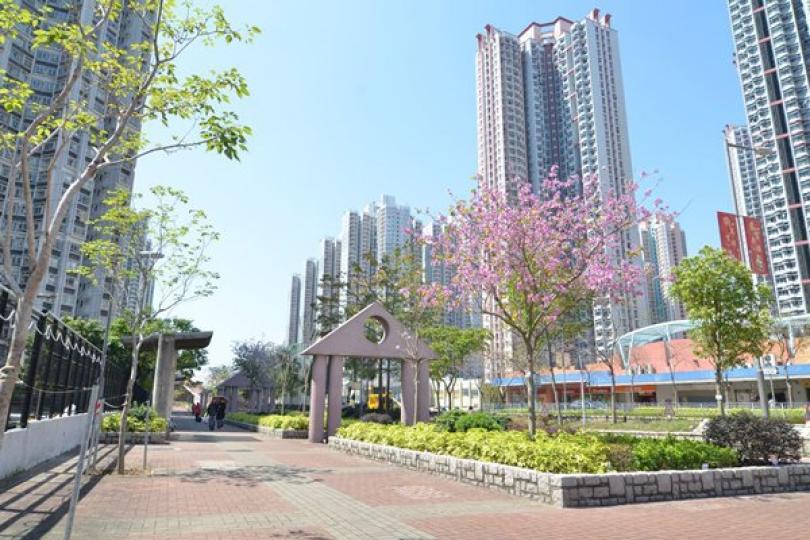 環境卓越大獎參與機構創新高