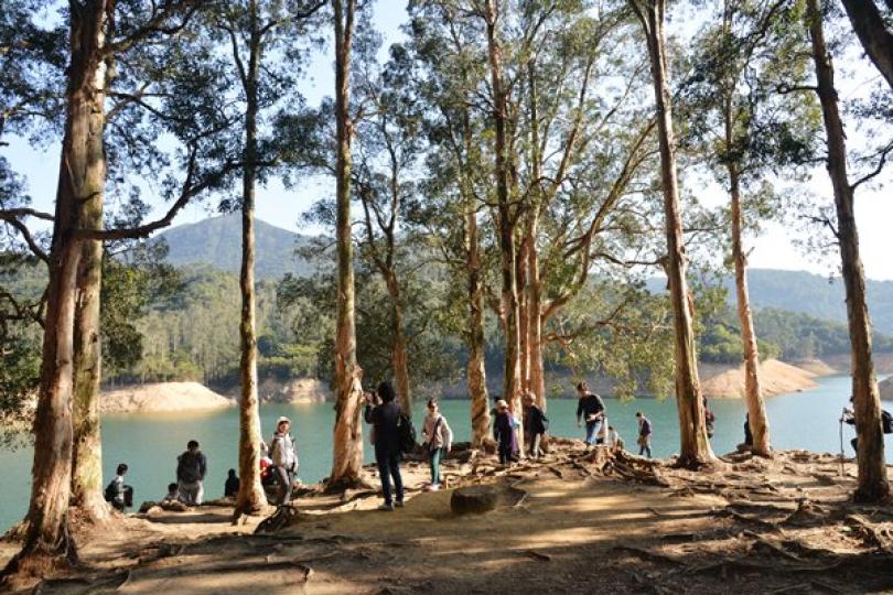 綠色就業計劃推大專生資助項目