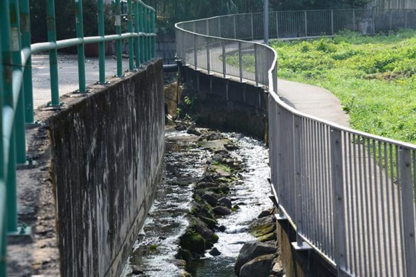 5月環保違例個案91宗