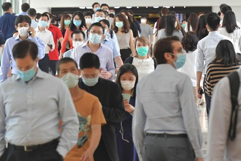 物流署回應購入疑附虛假說明口罩