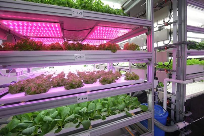 善用科技享豐收