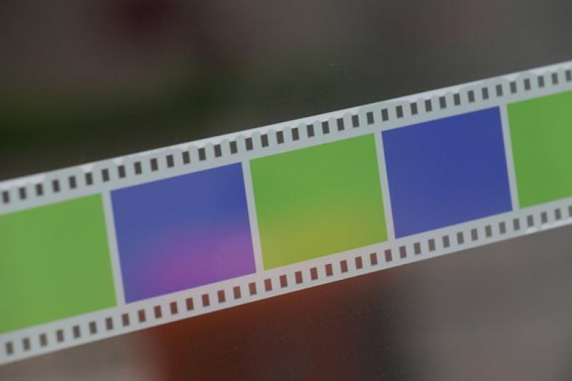 邱騰華賀許鞍華獲金獅終身成就獎