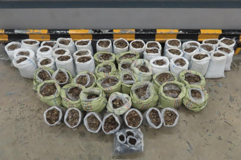 打擊走私:  海關檢獲一批懷疑走私瀕危物種，包括穿山甲鱗片和乾蛇膽，市值約620萬元。