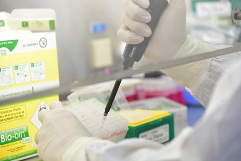 四社區檢測中心星期日投入服務