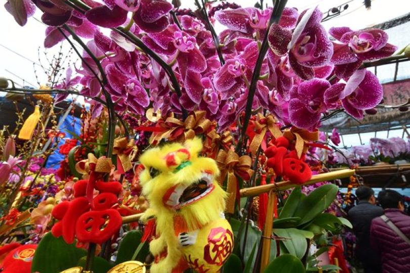 維園年宵競投首日逾百濕貨檔租出