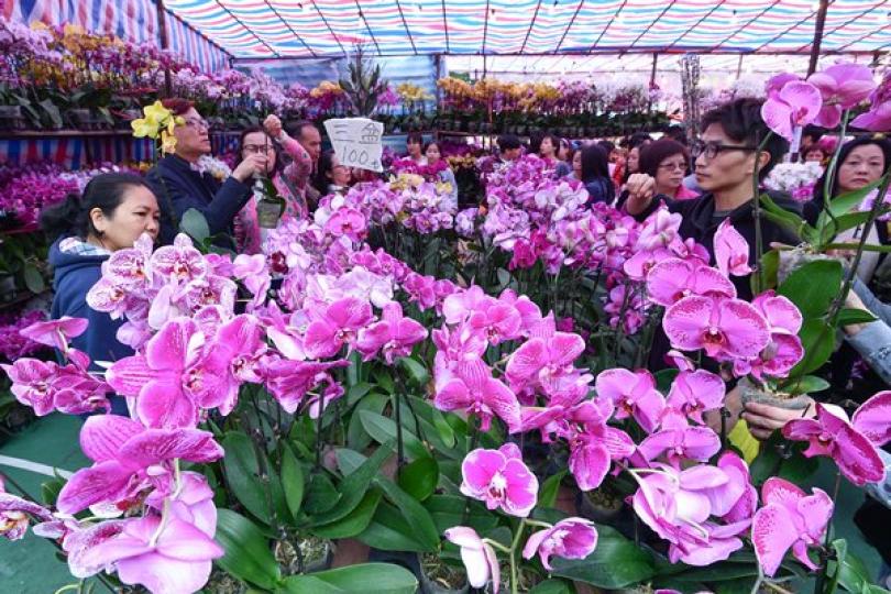 維園年宵市場169個濕貨攤位租出