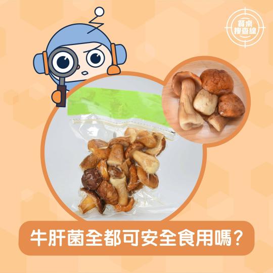 【餐桌搜查線 • 牛肝菌全都可安全食用嗎？】
