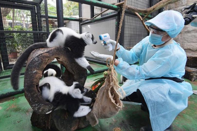 滿園熱鬧關不住