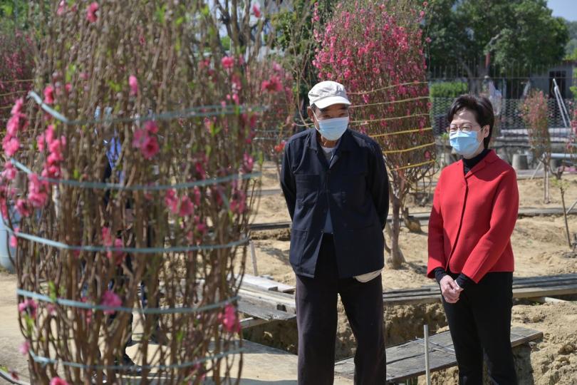 談市道:  林鄭月娥（右）到訪八鄉一個栽種桃花的農場，向花農了解今年的經營情況。