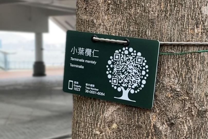 二維碼標籤計劃助公眾關注樹木