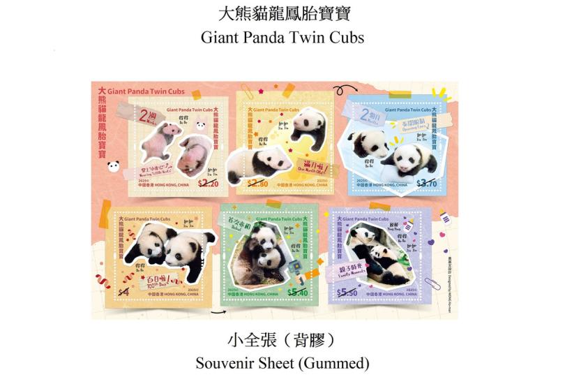 大熊貓龍鳳胎寶寶郵票8月中發售
