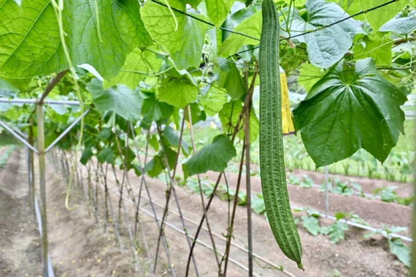 復育名種 創科惠農